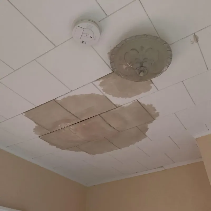 Ceiling Water Damage Repair in Loves Park, IL