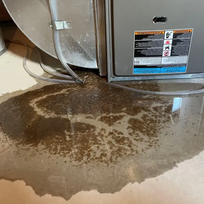 Pipe Burst and Leak Restoration in Loves Park, IL
